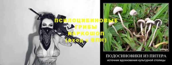 хмурый Майский